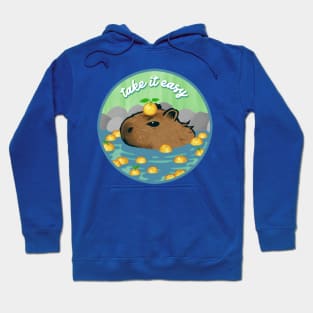 Chill Capybara (circle design) Hoodie